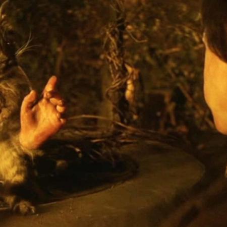 Image: A cat with human hands gestures at a young boy.
