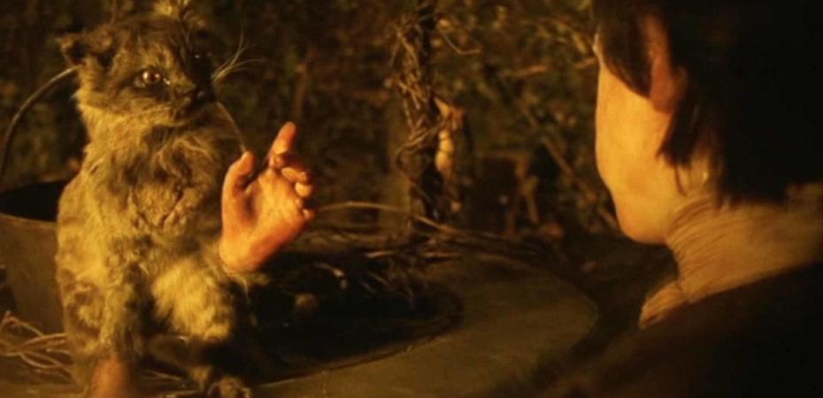 Image: A cat with human hands gestures at a young boy.